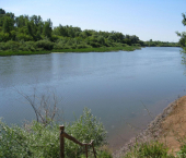 земля 6.3 сот -,96