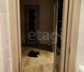 1-комн, 48кв м, этаж 13/17 улица Советской Армии, 185А