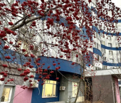 3-комн, 109кв м, этаж 5/14 улица Академика Павлова, 8