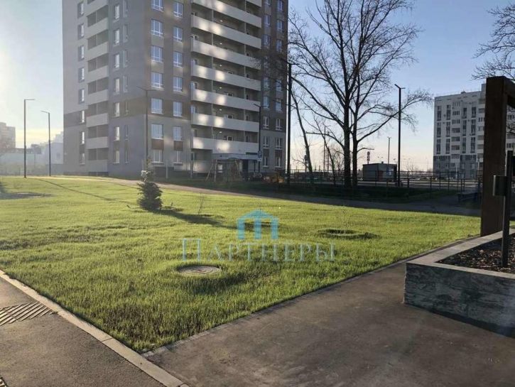 Студия Николаевка село