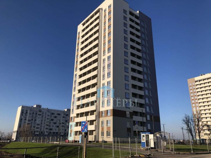 Студия Николаевка село