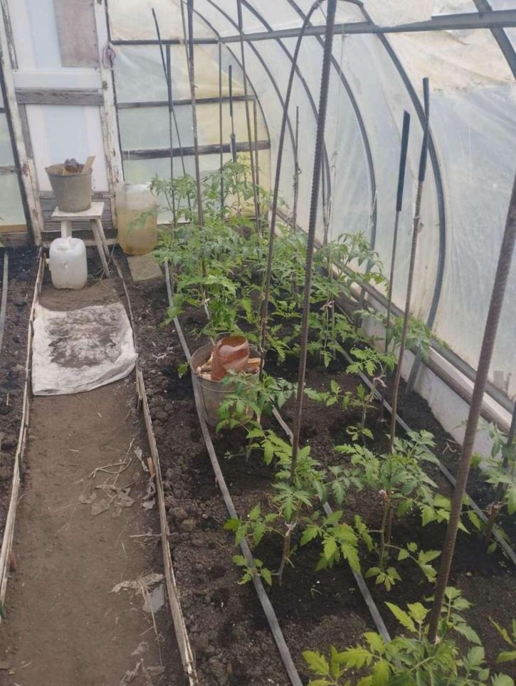 Коттедж/дом Верхнее Санчелеево село