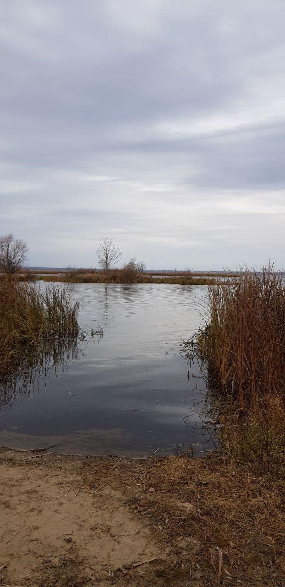Купить землю, земельный участок за 1 200 000 рублей на Бестужевка село