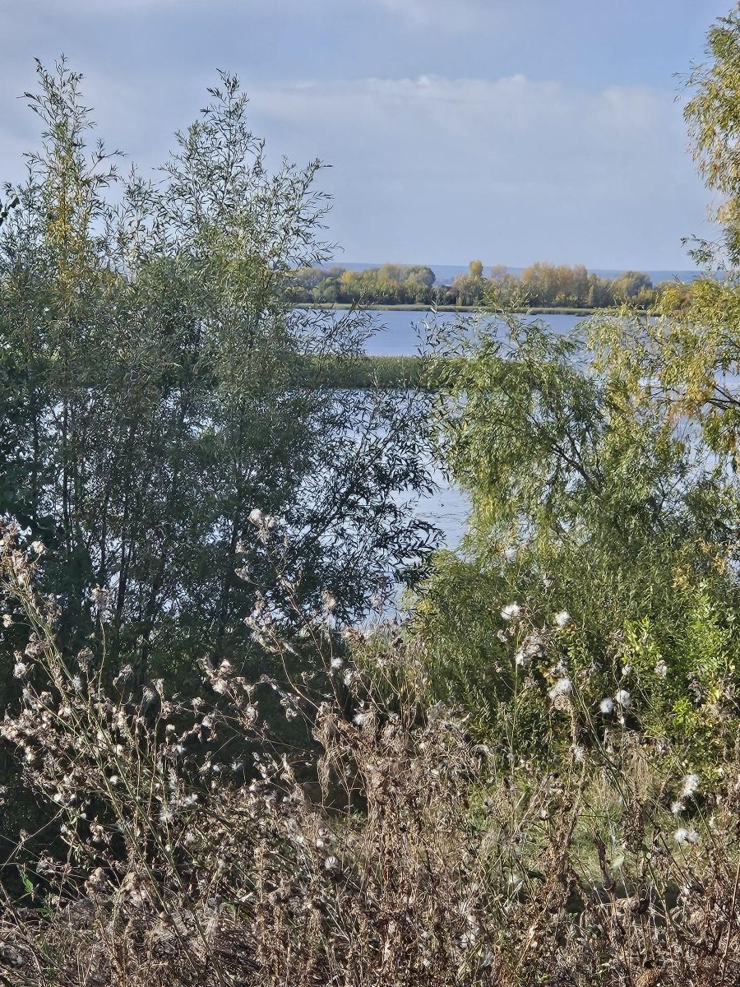 Купить землю, земельный участок за 1 200 000 рублей на Бестужевка село