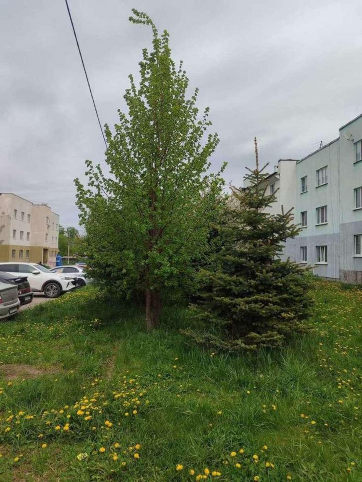 3-комн квартира Мира проспект, 6Ж