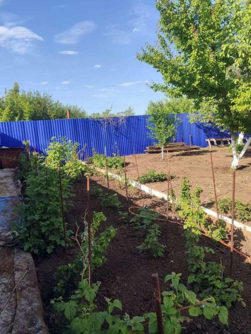 Продажа участка СДТ Рябинушка