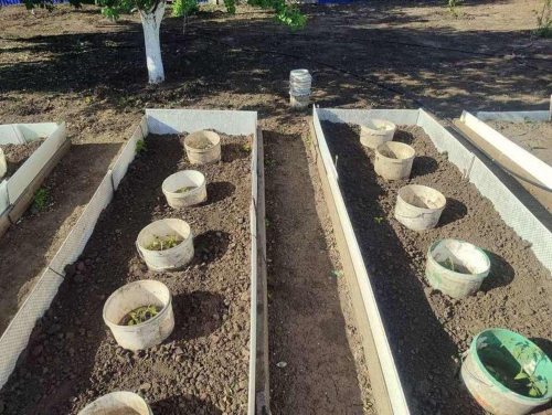Продажа участка СДТ Рябинушка