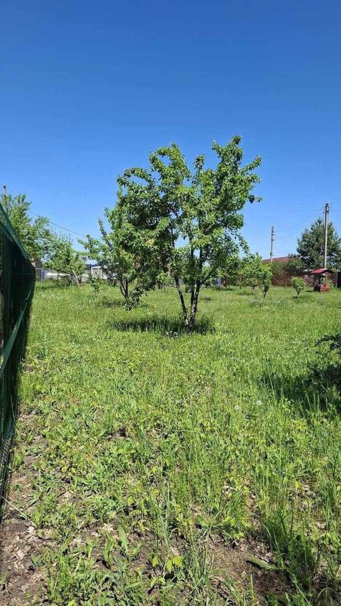 Купить землю, земельный участок за 1 000 000 рублей на СНТ Механизатор