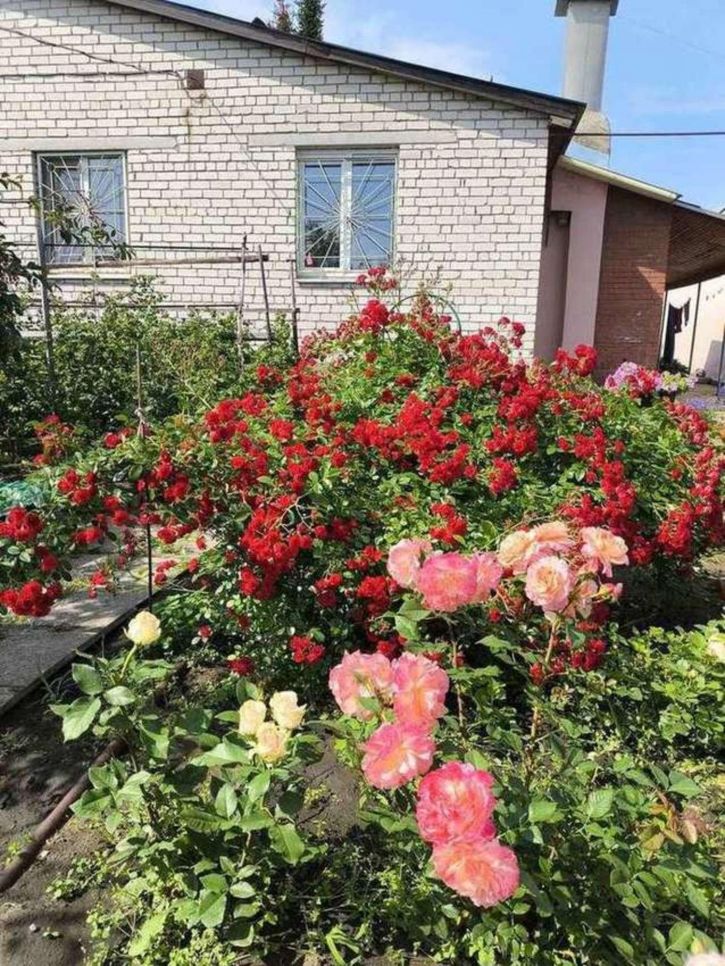 Коттедж/дом Новая улица
