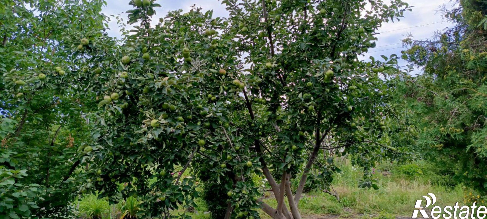 Купить дачу, дом, коттедж за 2 650 000 рублей на Ставропольский район