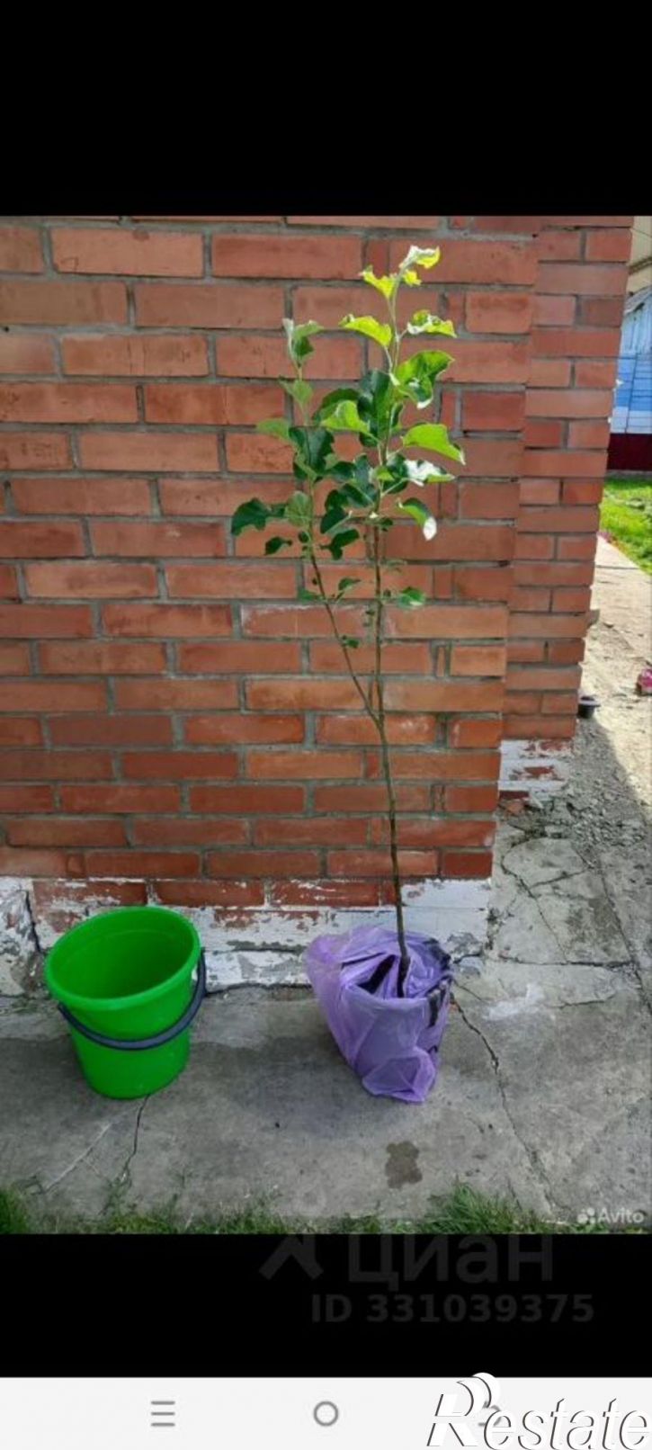 Коттедж/дом Загородная улица, 40,  д. 40