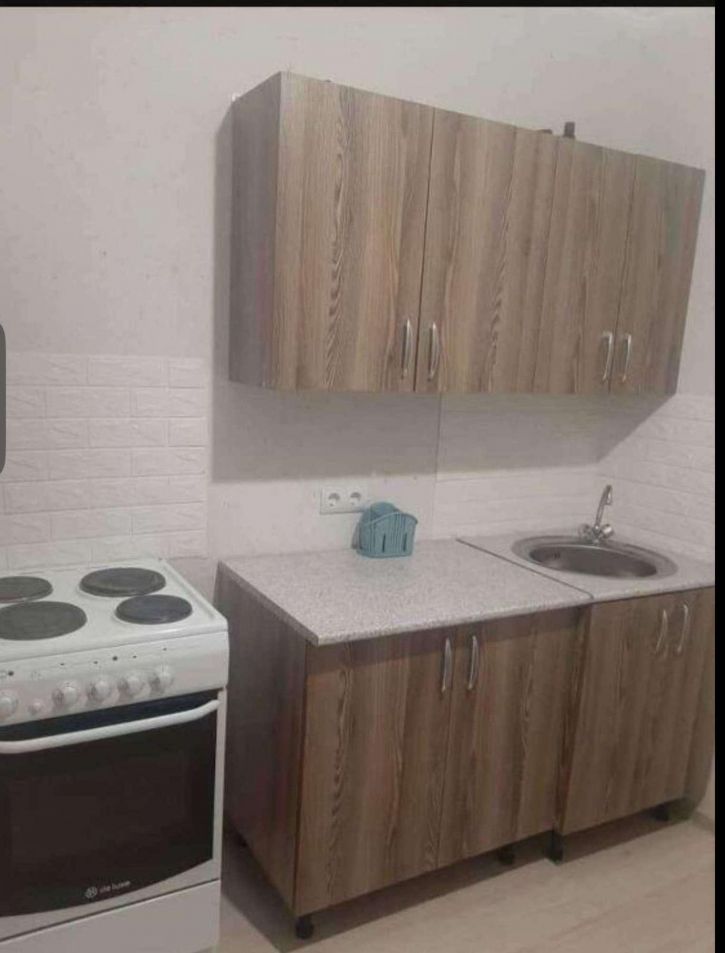 1-комн квартира улица Анетты Басс, 5