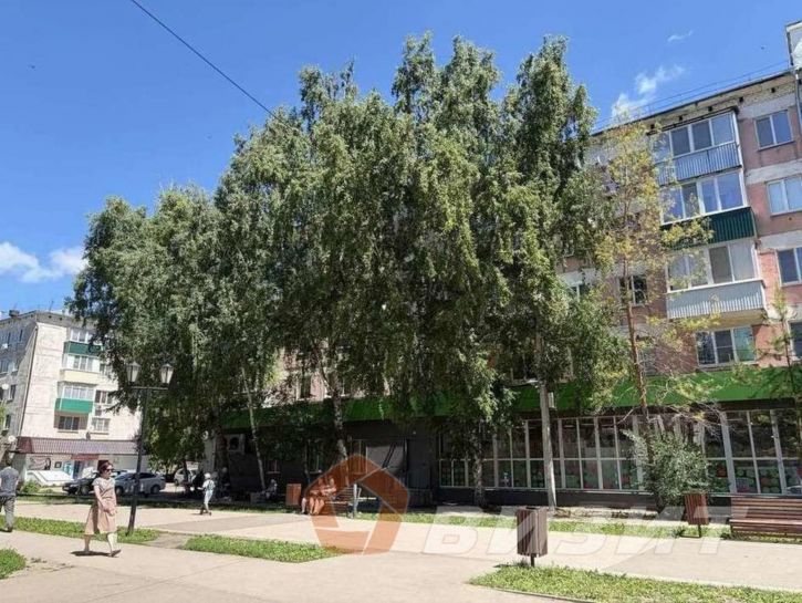 Торговое помещение А.Васильева улица, 8