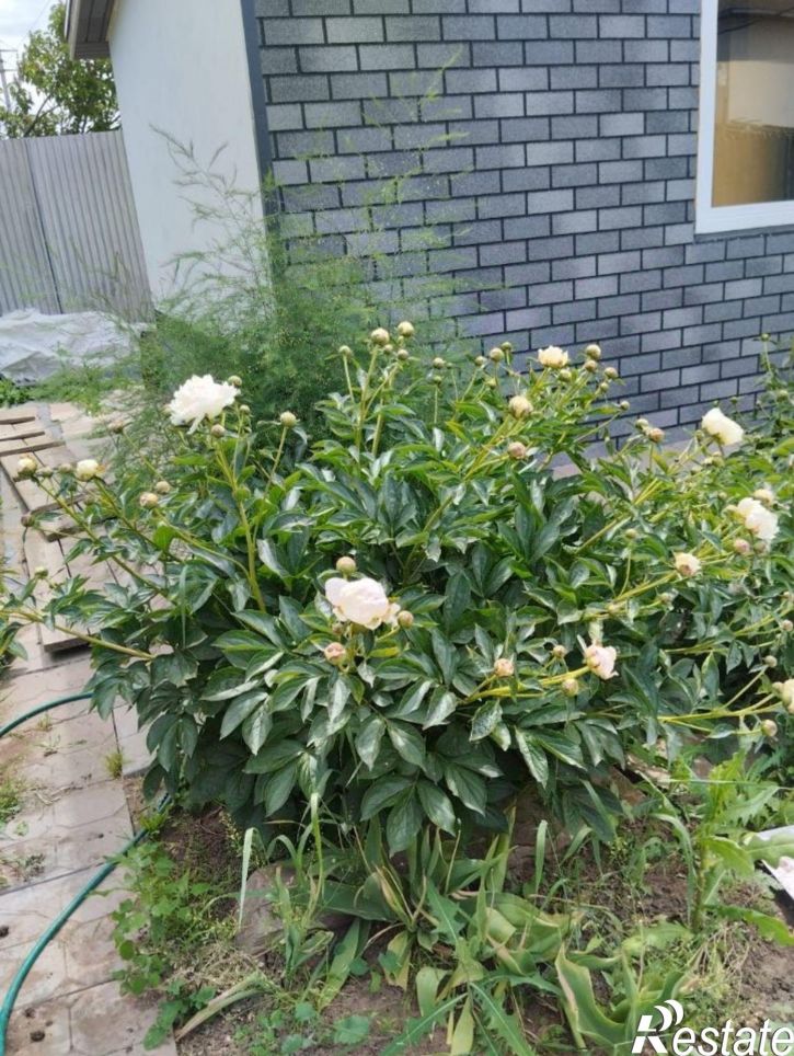 Коттедж/дом Загородная улица, 38,  д. 38