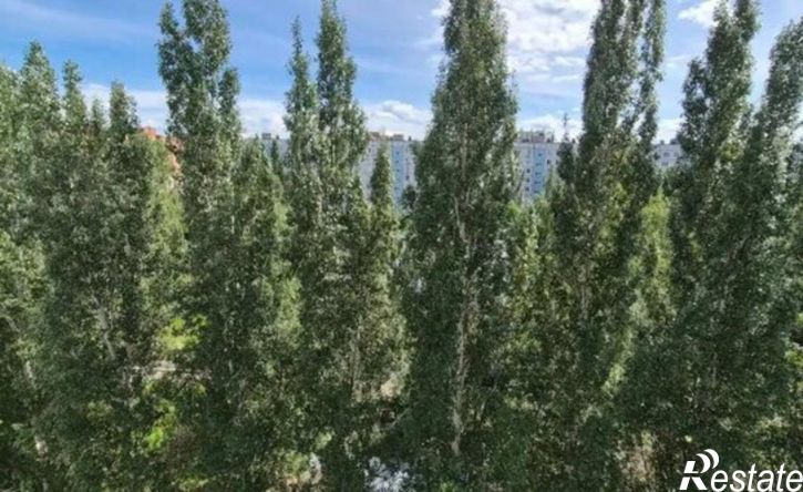 1-комн квартира проспект Степана Разина, 87,  д. 87