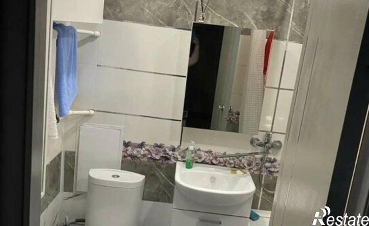 2-комн квартира ул Петра Монастырского, 4,  д. 4