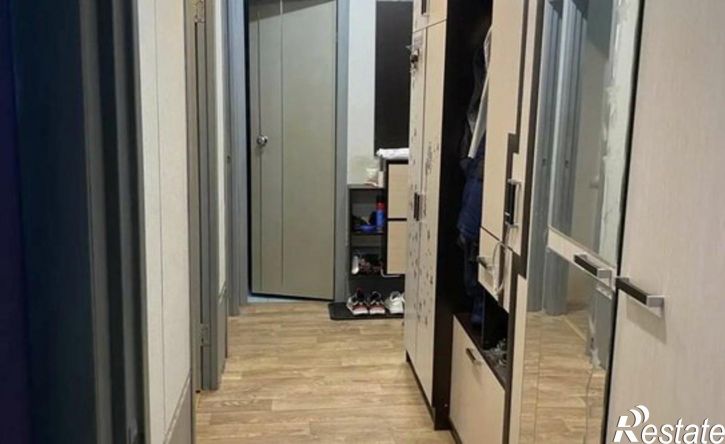 2-комн квартира ул Петра Монастырского, 4,  д. 4