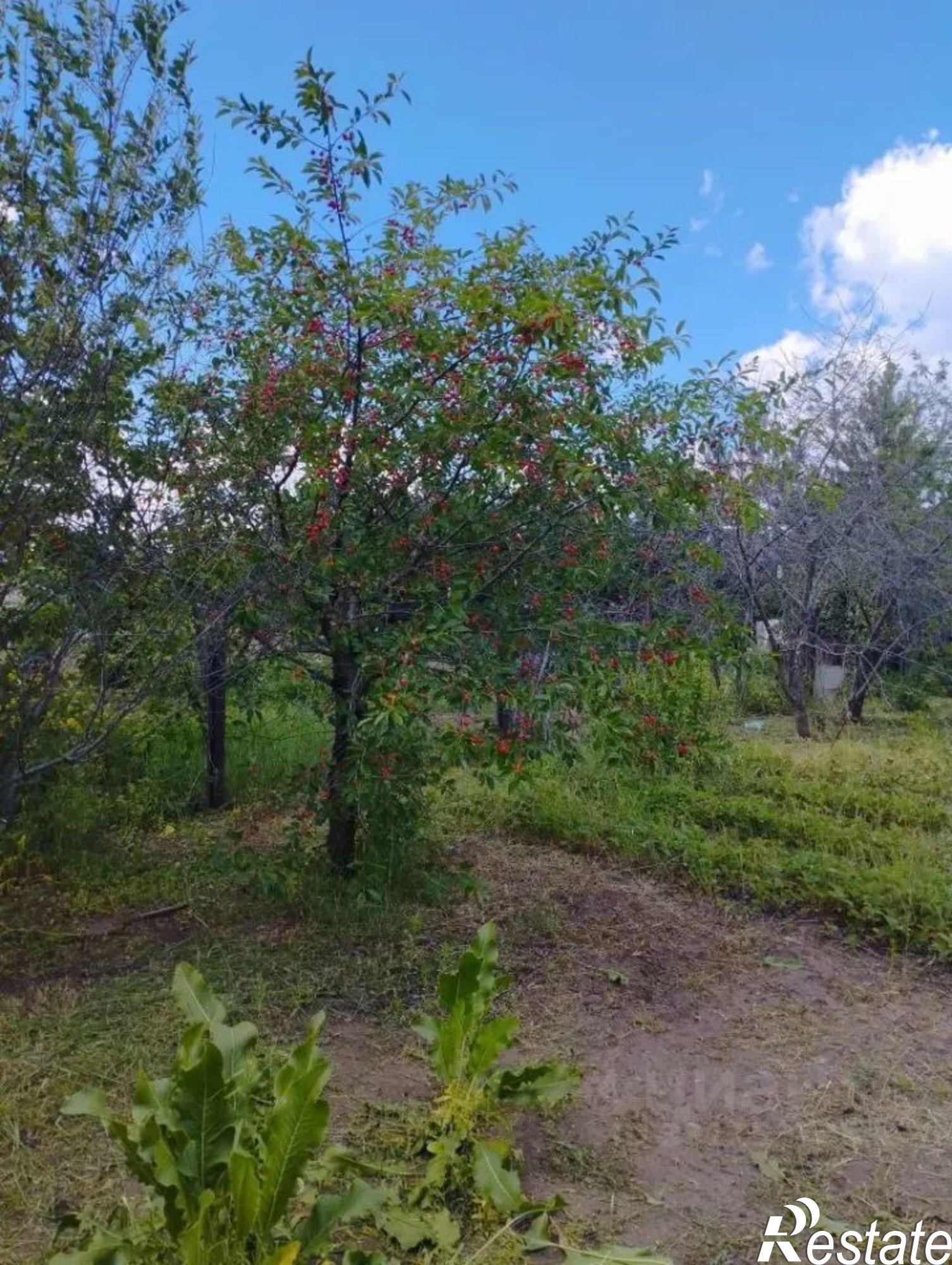 Купить дачу, дом, коттедж за 1 800 000 рублей