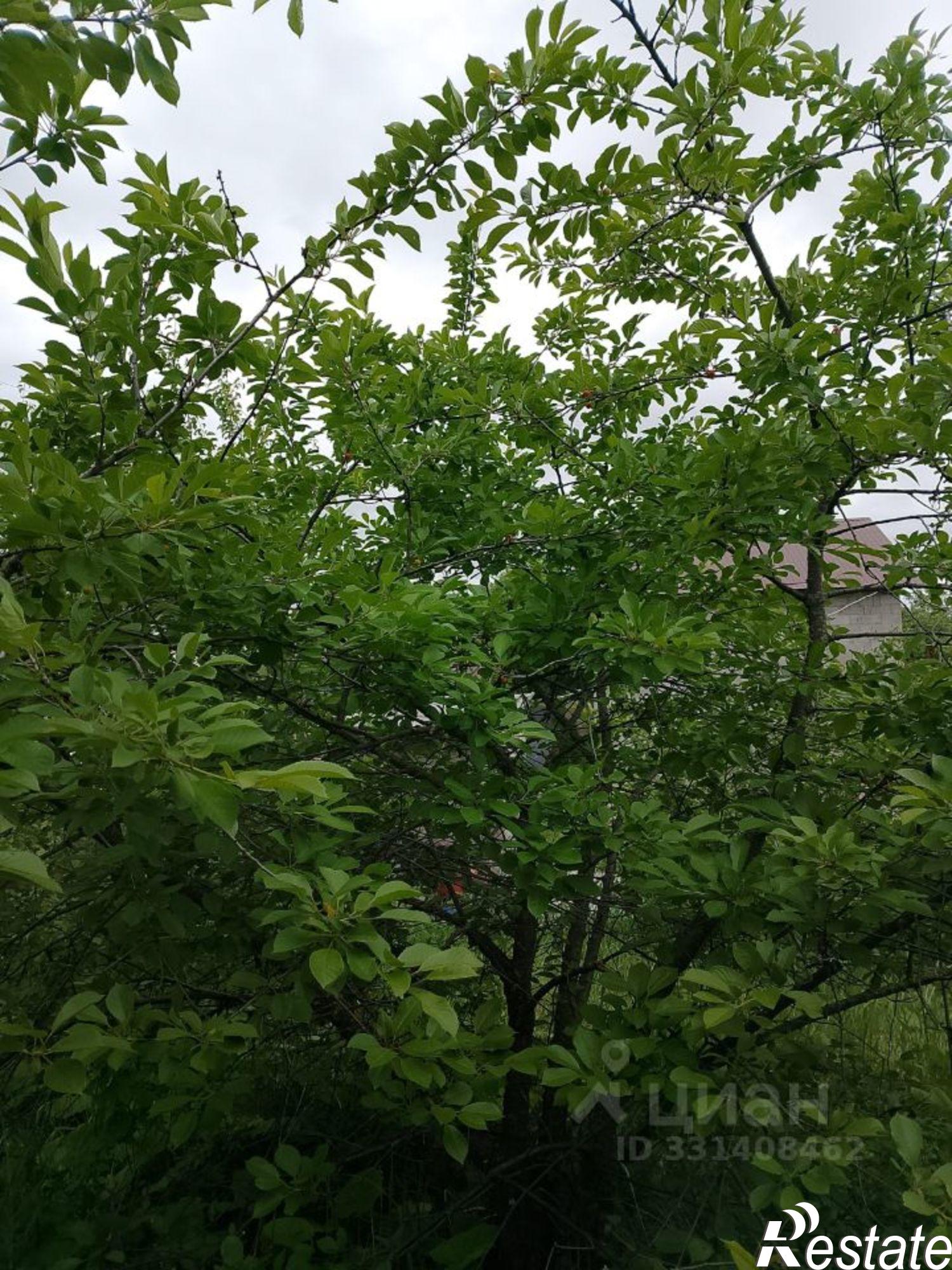 Купить дачу, дом, коттедж за 850 000 рублей на ул 18-я, 12