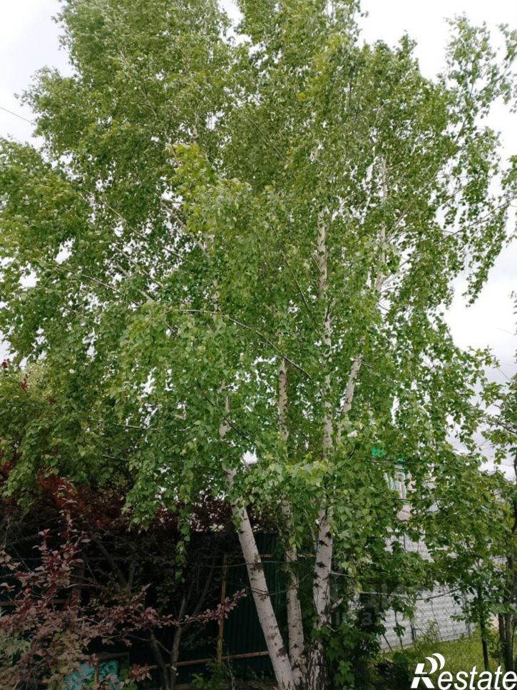 Коттедж/дом ул 18-я, 12,  д. 12