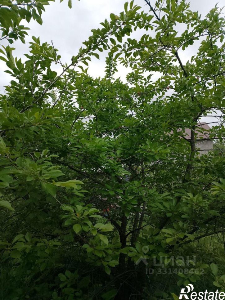 Коттедж/дом ул 18-я, 12,  д. 12