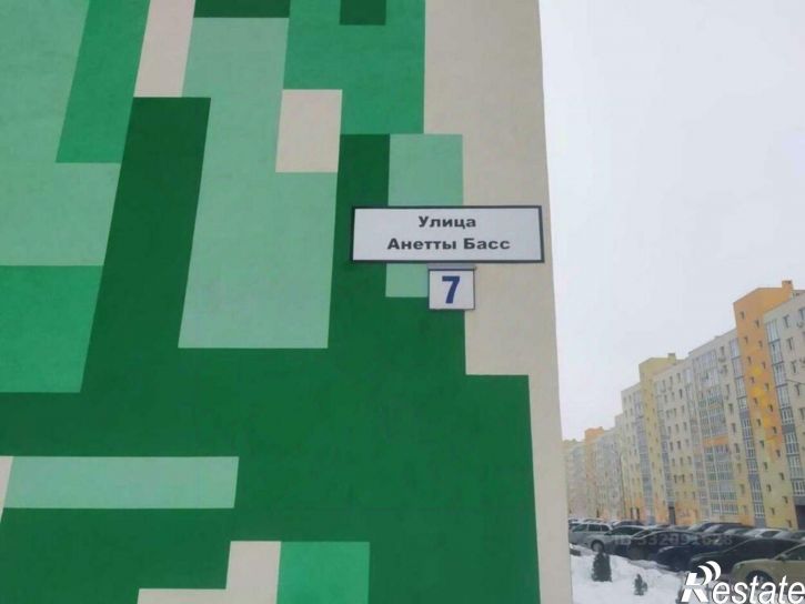 2-комн квартира ул Анетты Басс, 7,  д. 7
