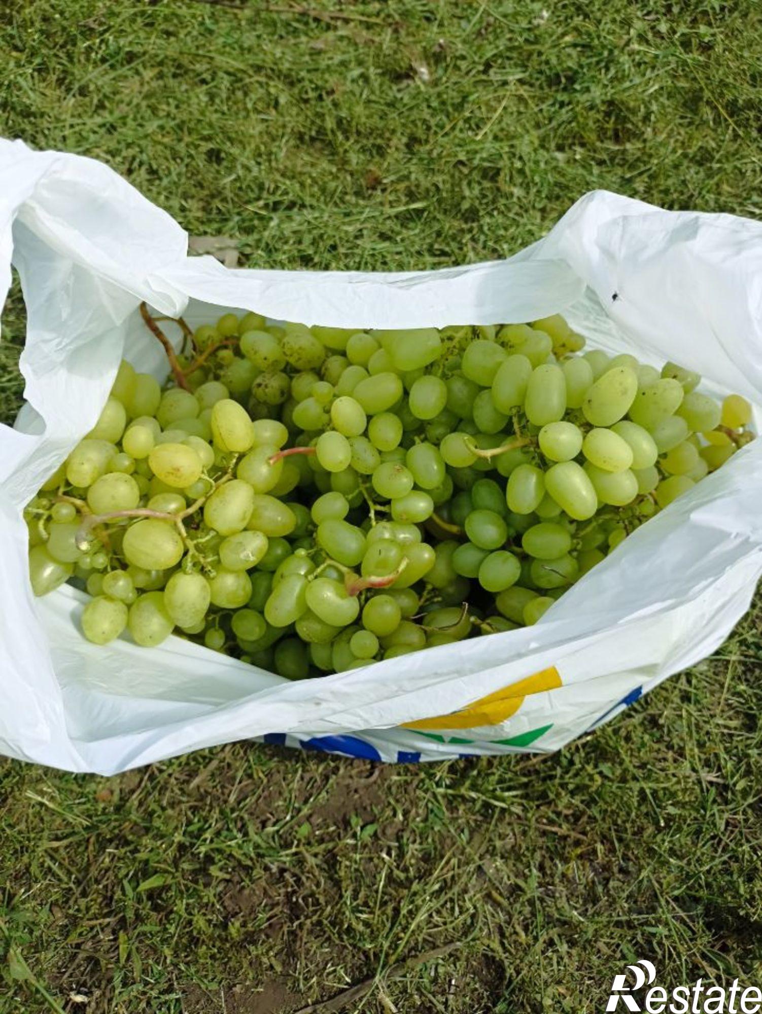 Купить дачу, дом, коттедж за 600 000 рублей на Ставропольский район