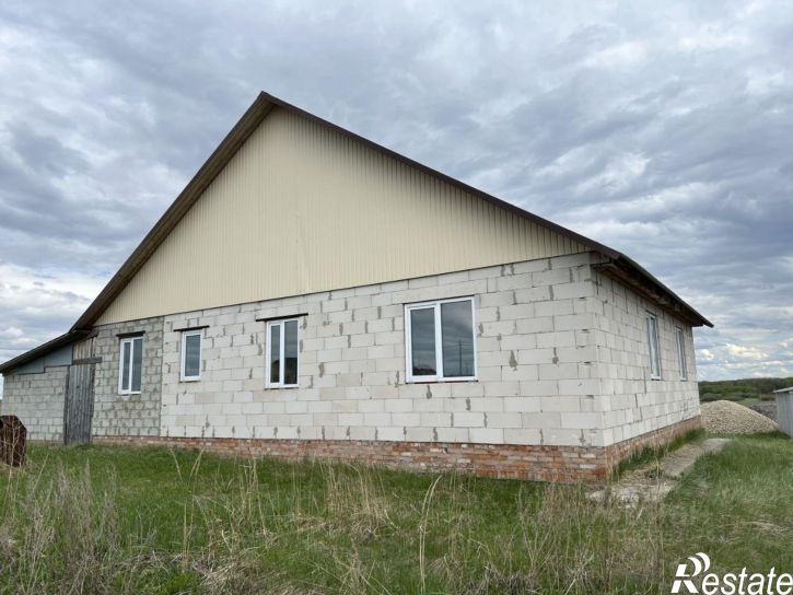 Коттедж/дом село Кошки