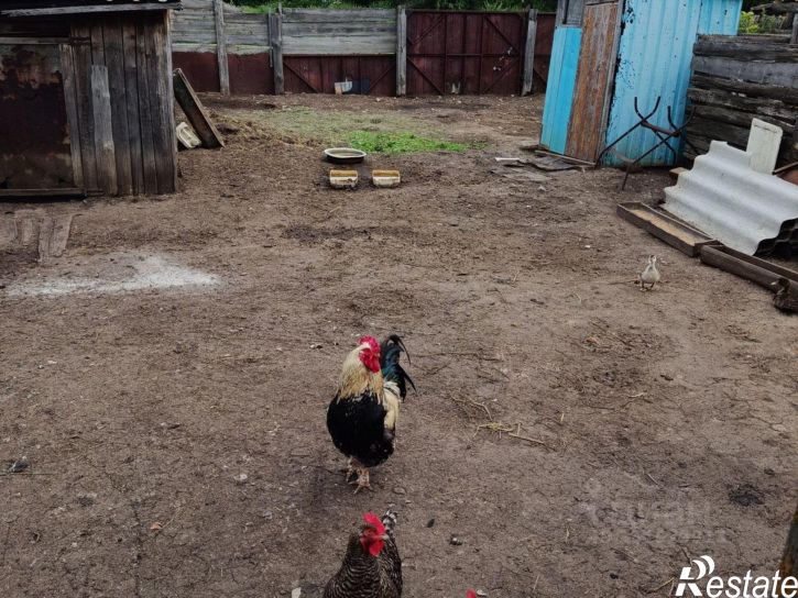 Коттедж/дом Большечерниговский район
