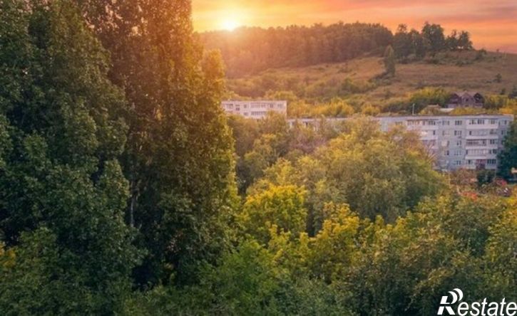 1-комн квартира ул Морквашинская, 53,  д. 53