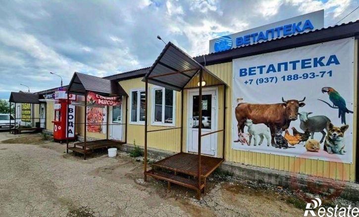 Торговое помещение Пестравский район, Пестравка село