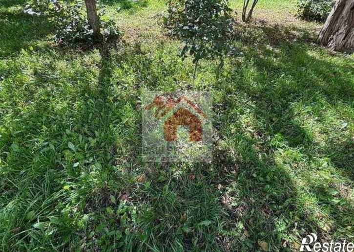 Земельный участок Нижняя Солонцовка село