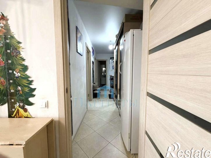 2-комн квартира улица Анетты Басс, 1